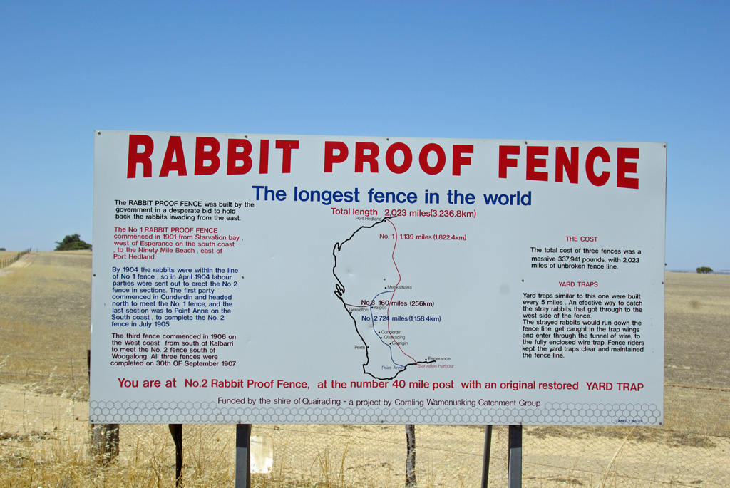 rabbit proof fence theme
